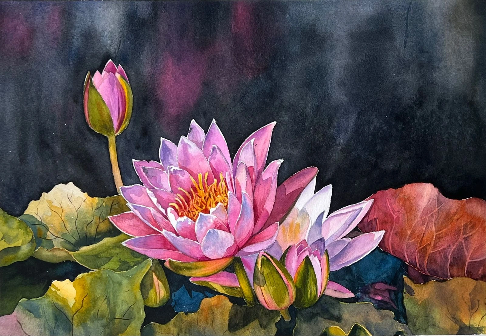 Shapla II — watercolour on paper by Rasedul Islam Riad
